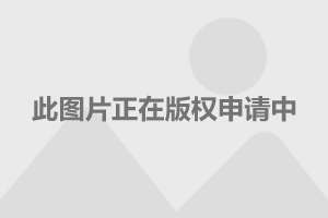  多特蒙德CEO瓦茨克暗示将清洗冗员  